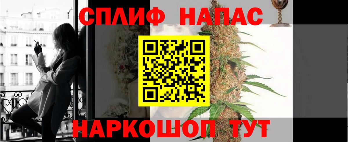 Конопля гибрид Нефтекумск